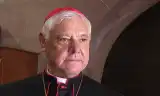 Đức Hồng y Müller: Cần tránh khuynh hướng tôn sùng Giáo hoàng thái quá